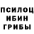 Галлюциногенные грибы мицелий Dakpa khedup