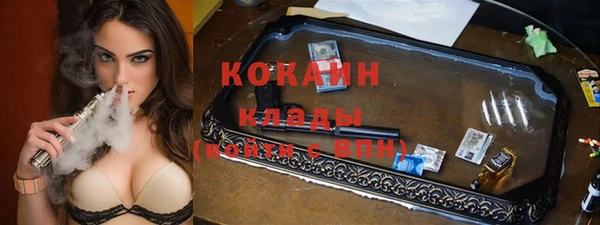 дживик Майский