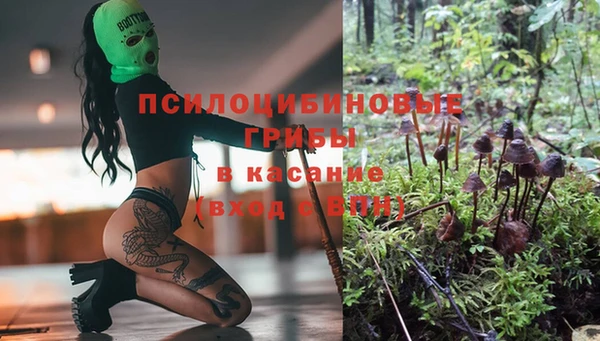 мескалин Медвежьегорск