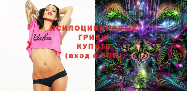 PSILOCYBIN Мегион