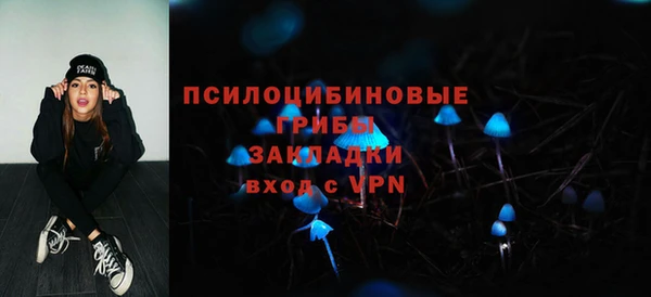 герыч Переславль-Залесский