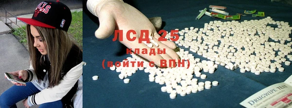 дживик Майский