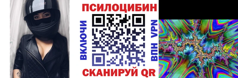 закладка  Спасск-Рязанский  Галлюциногенные грибы мухоморы 